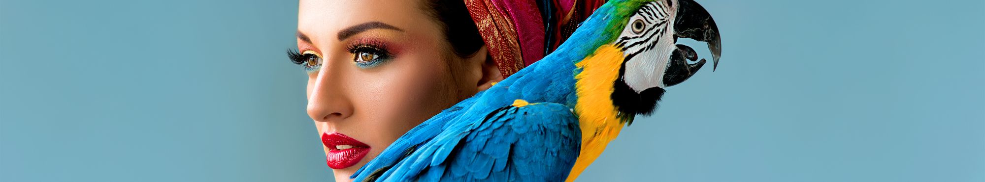 Brinquedos para Aves
