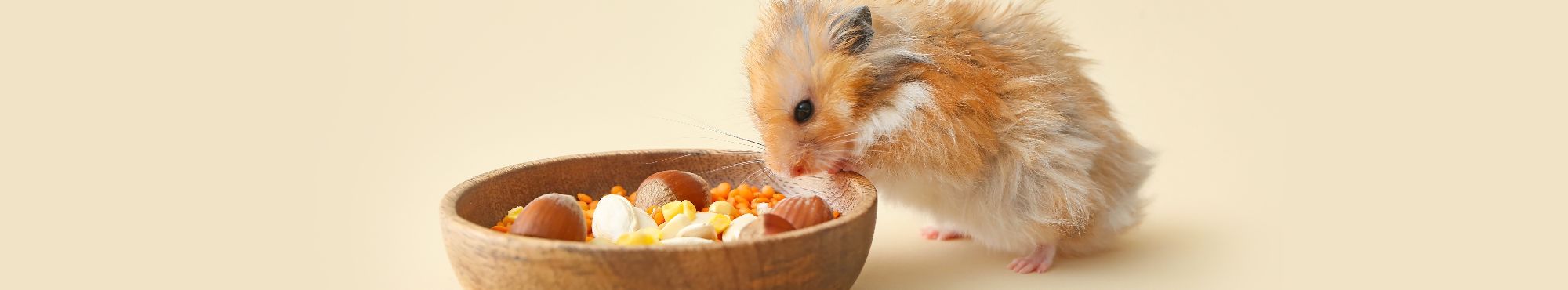 Alimentação de Roedores