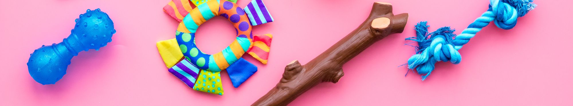 Brinquedos para Cães