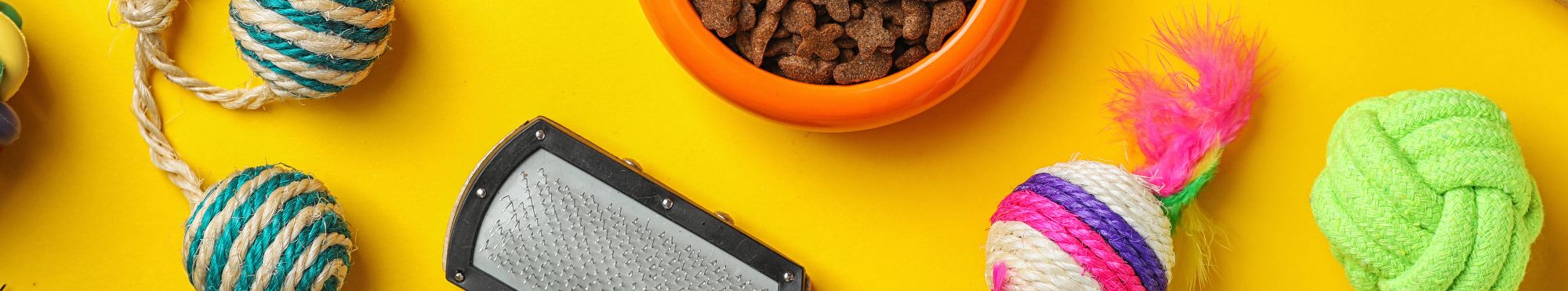 Acessórios para Gatos