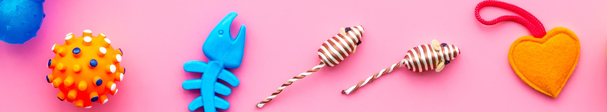 Brinquedos para Gatos