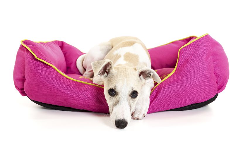 Cama almofada para cães Cama almofada para cães