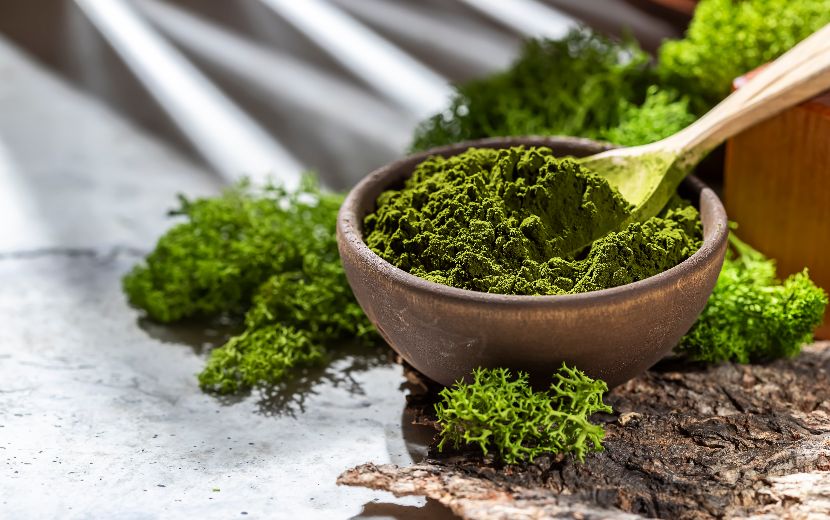 Chlorella alimentação funcional nos cães Chlorella alimentação funcional nos cães