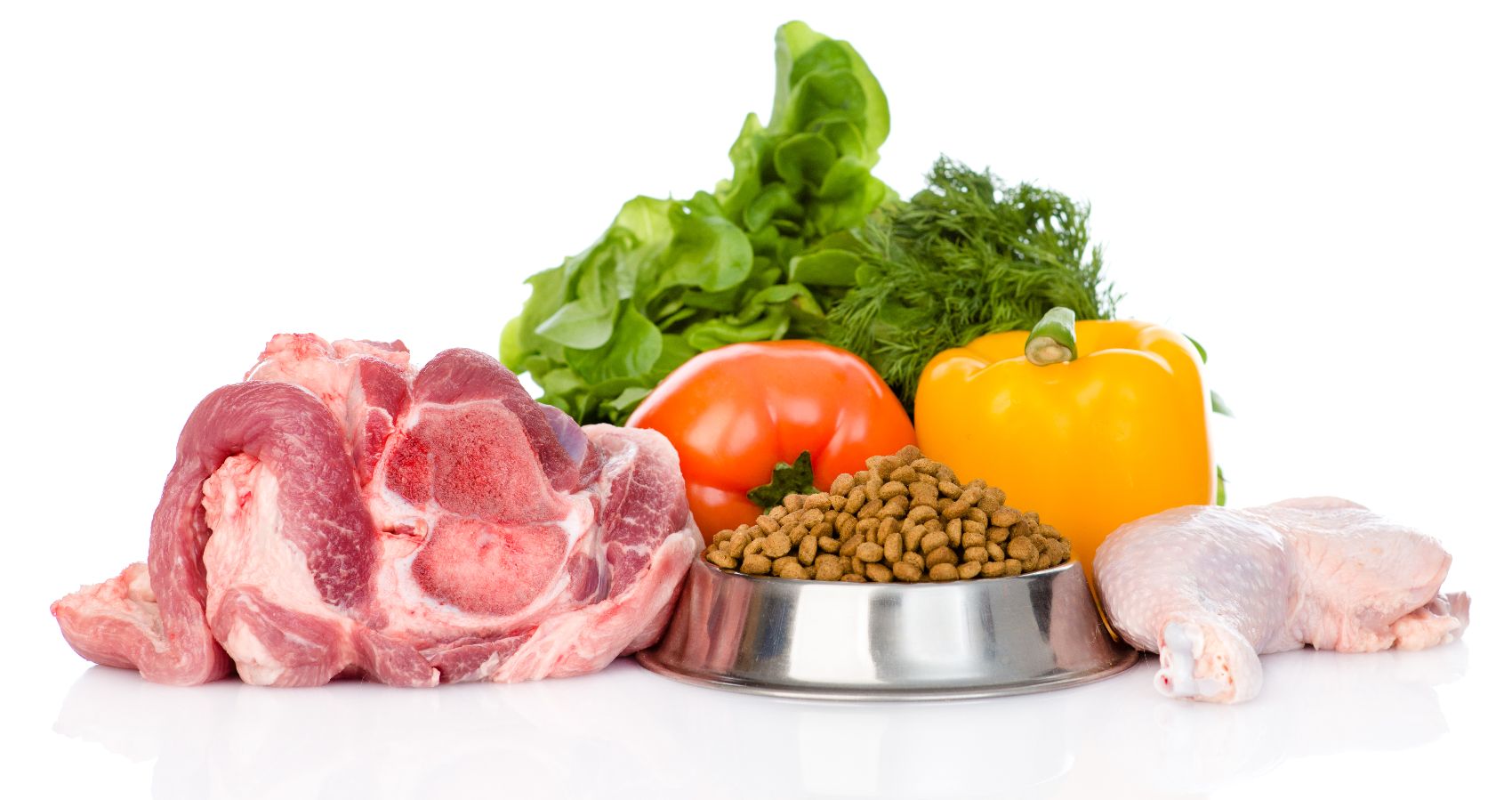 Dieta para cães