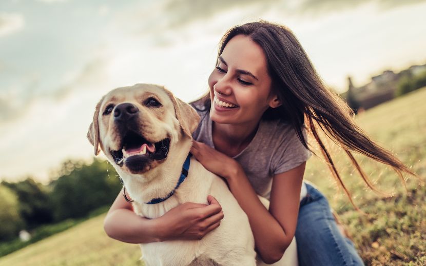 Saúde funcional nos cães Saúde funcional nos cães