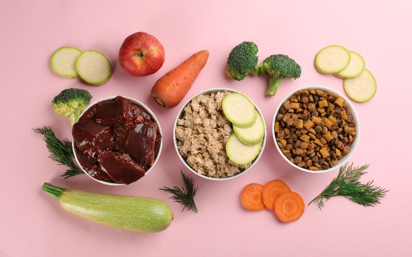 Vitaminas para cães Vitaminas para cães