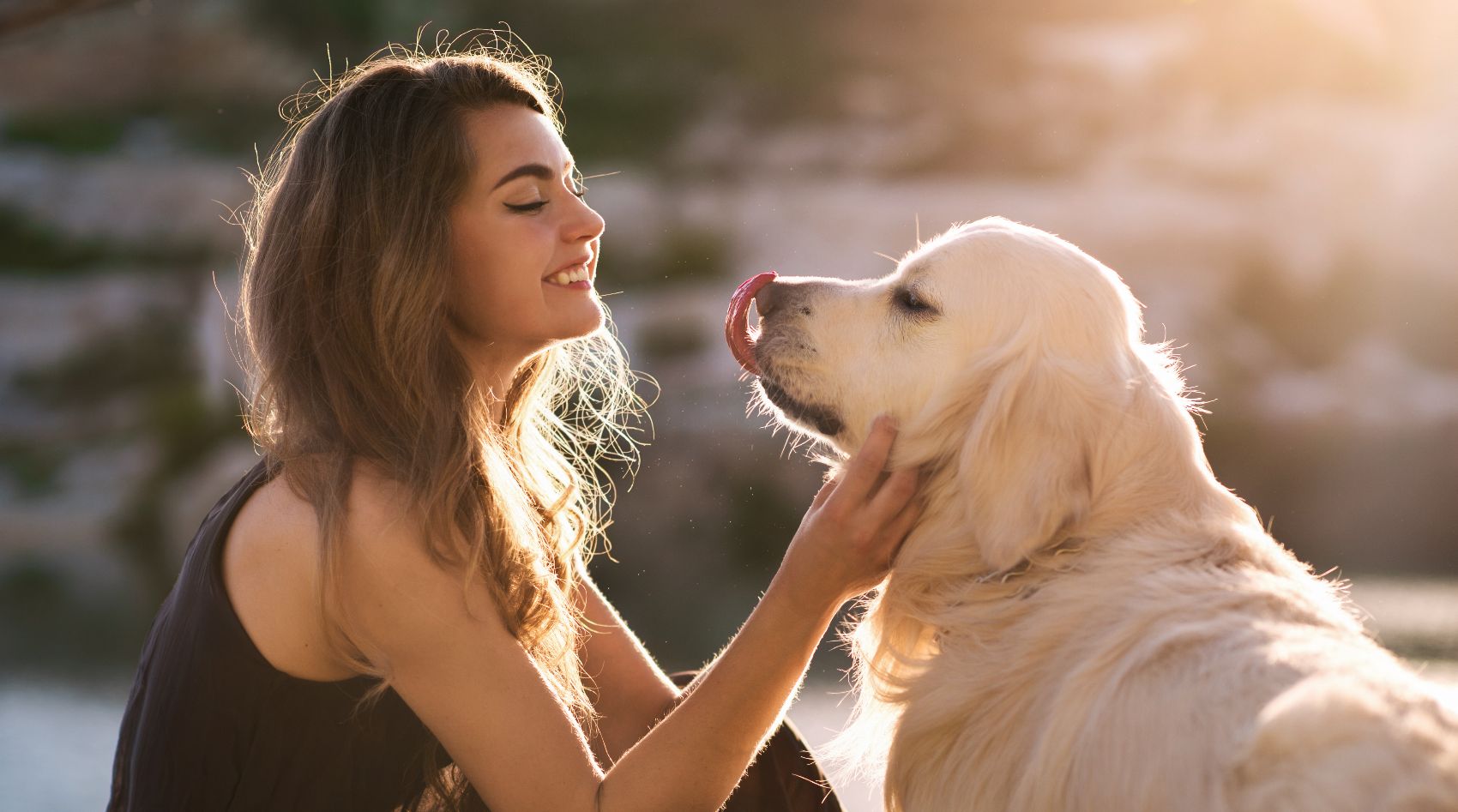 Saúde dos Cães