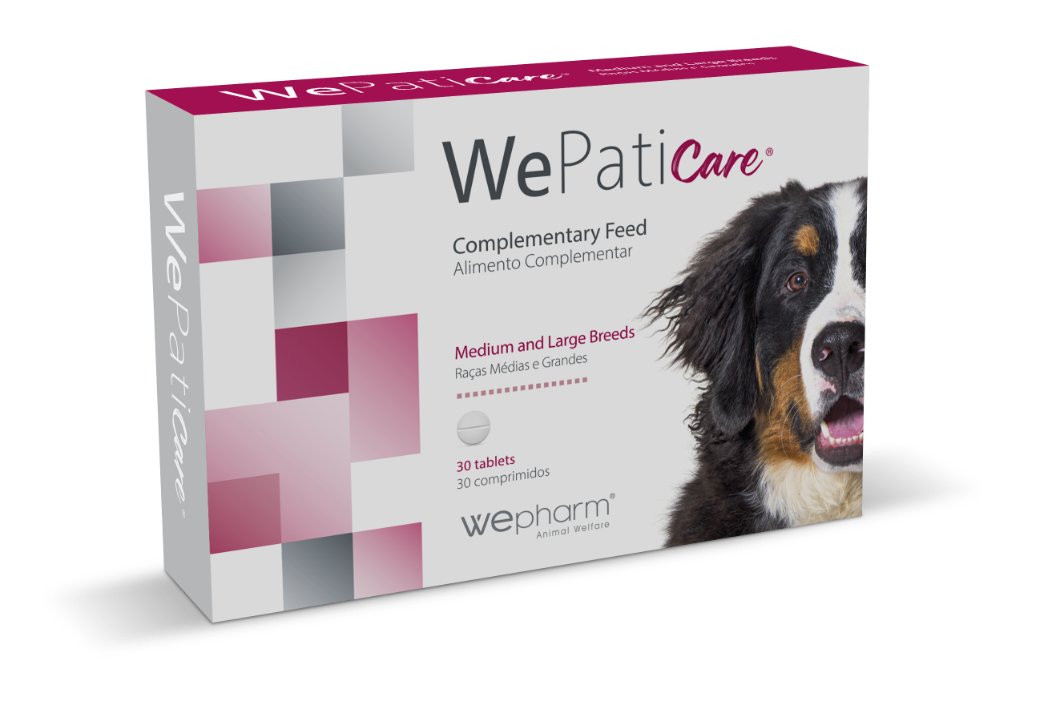 WePaticare raças médias/grandes