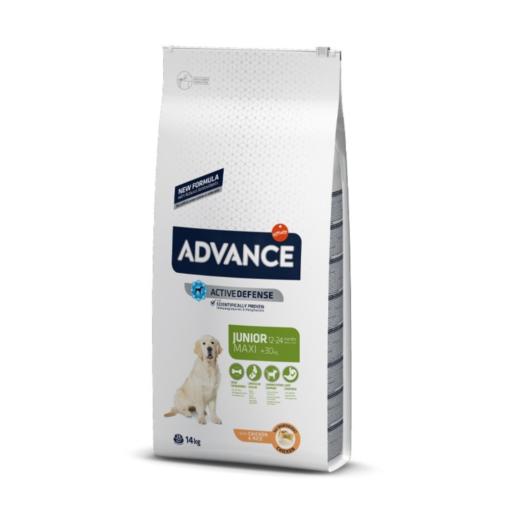 Ração ADVANCE Junior Maxi