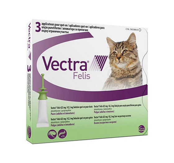 Vectra Felis