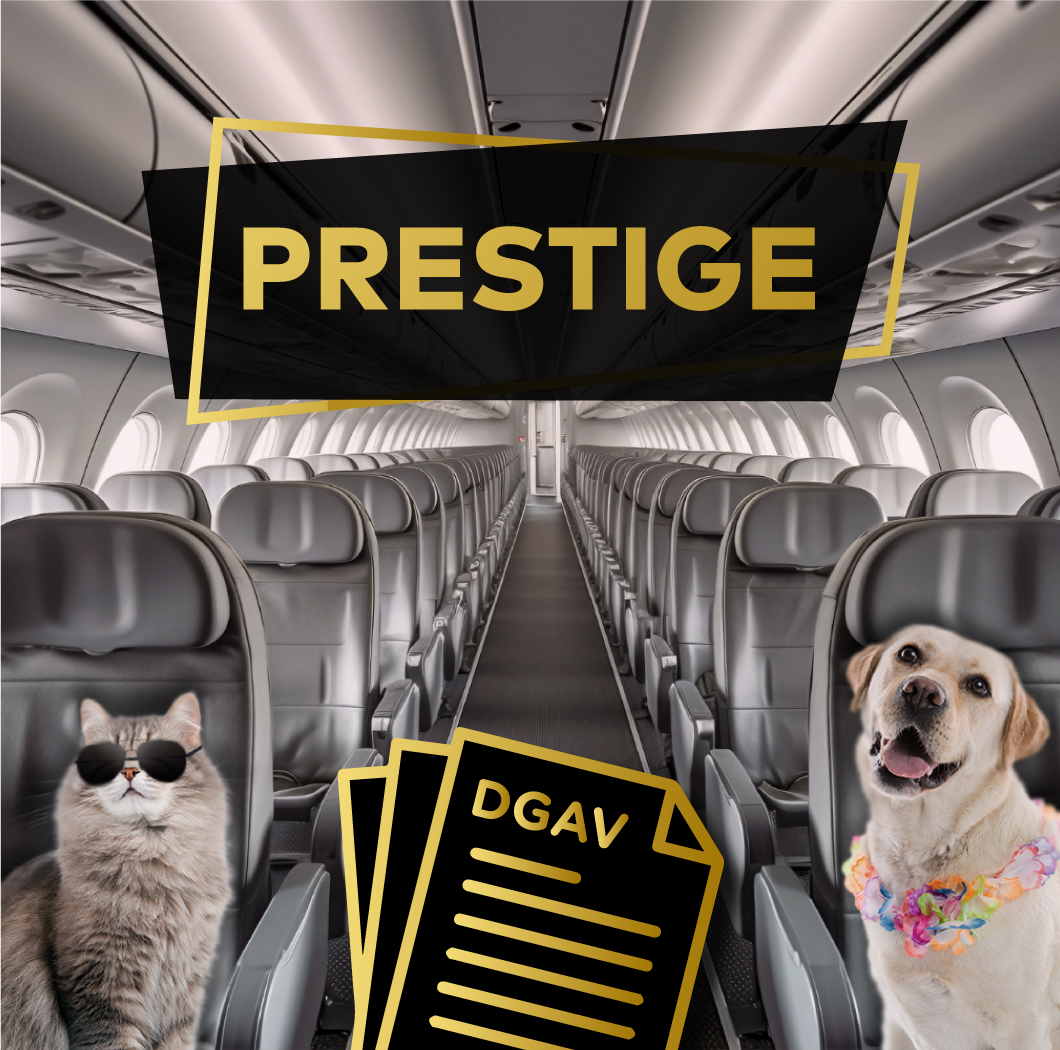 Emissão Certificado Veterinários Sobre Rodas (DGAV-CVI) PRESTIGE
