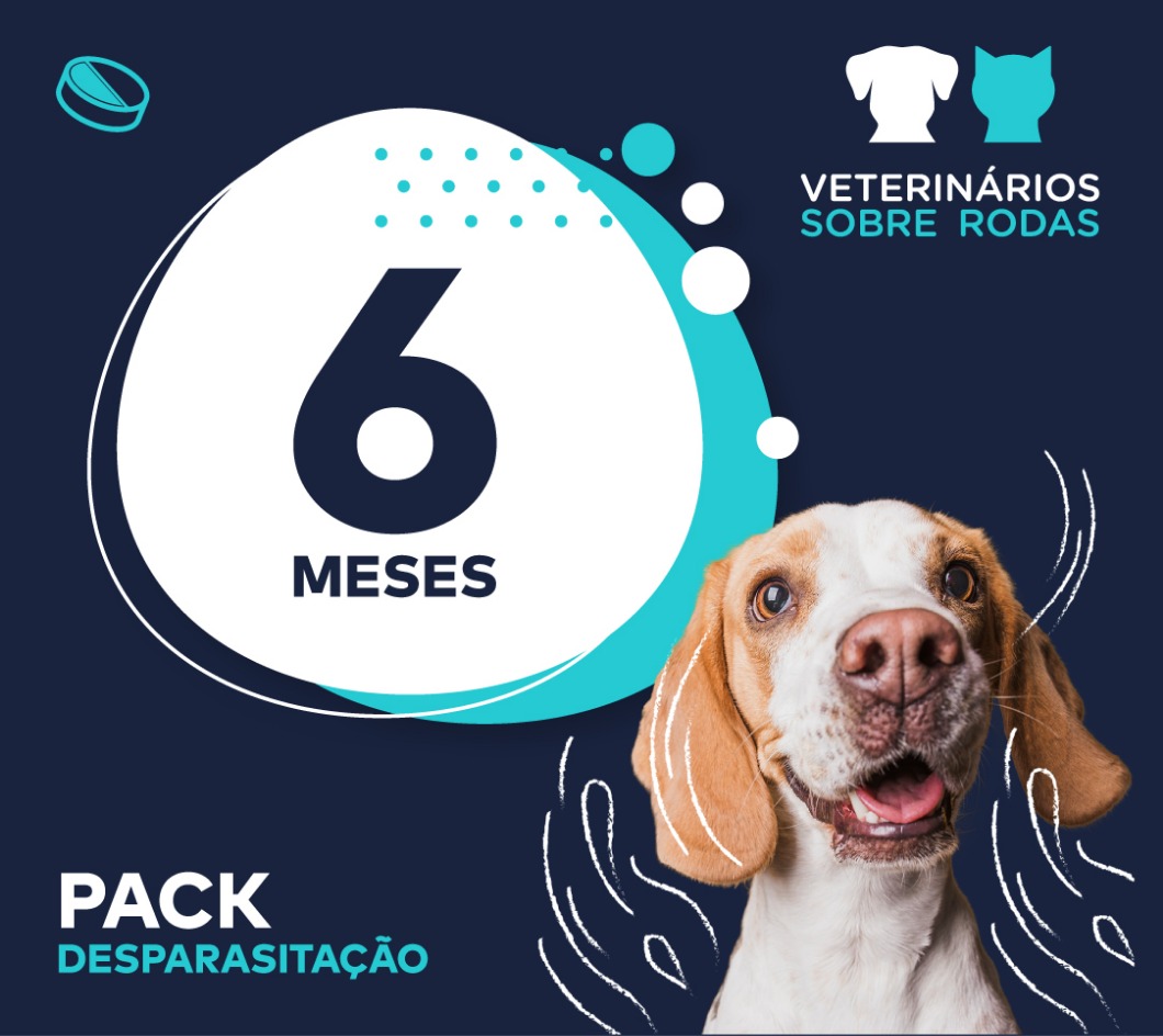 pack 6 cao