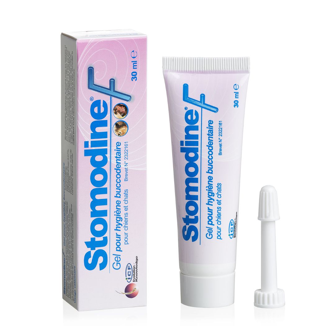 Stomodine F - Gel Oral