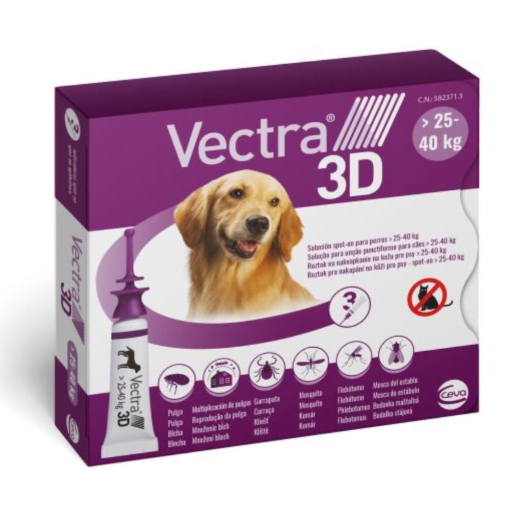 Vectra 3D L